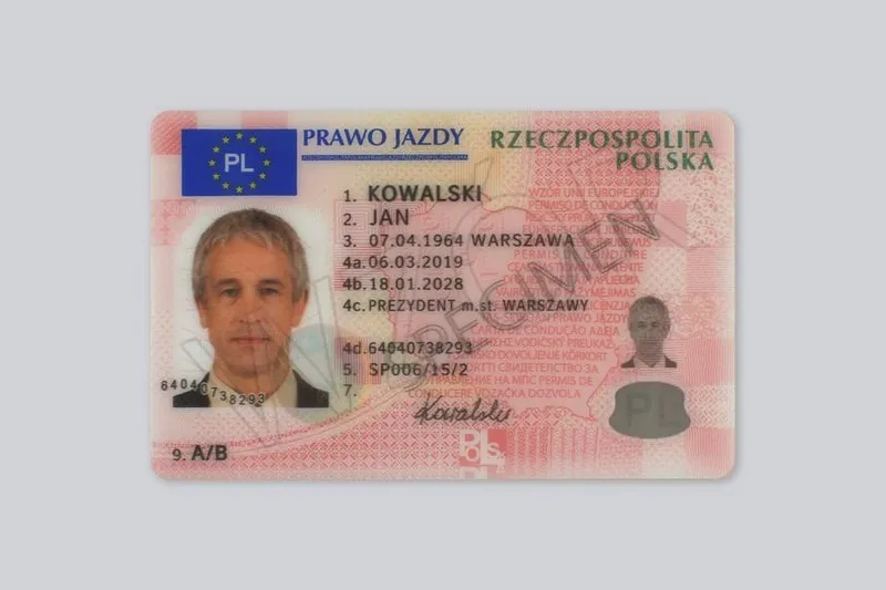 Gdzie znaleźć informację o swoim prawie jazdy? Sprawdź to teraz!