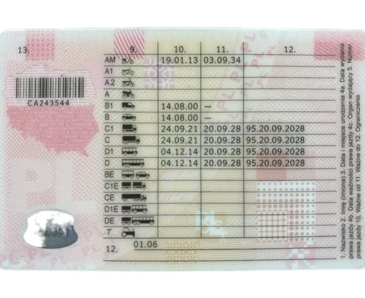 Sprawdzenie prawa jazdy