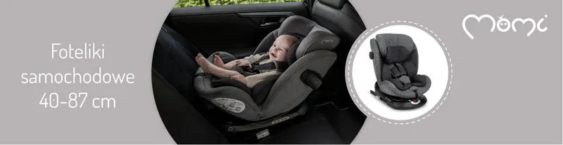 Zakup winiety w Czechach